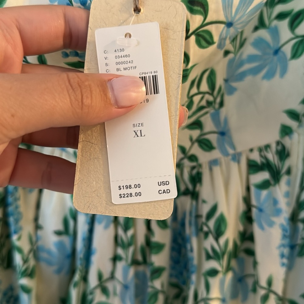 Anthropologie Floral Maxi Dress - Cream and Blue - Picture 2 of 3